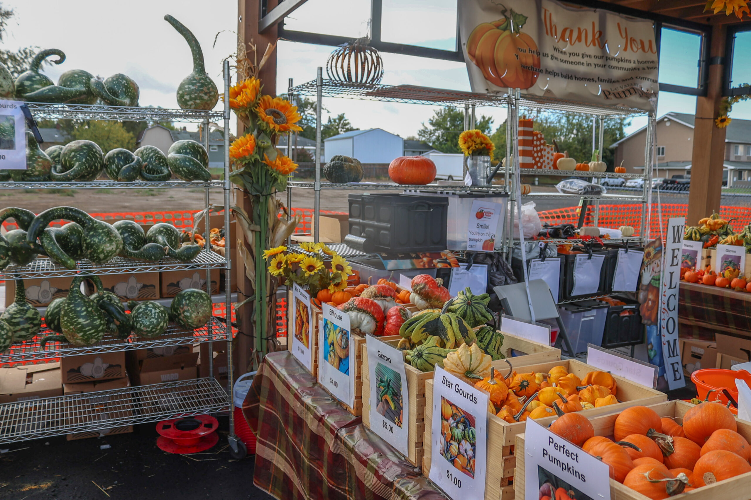 Pumpkin Patch-24