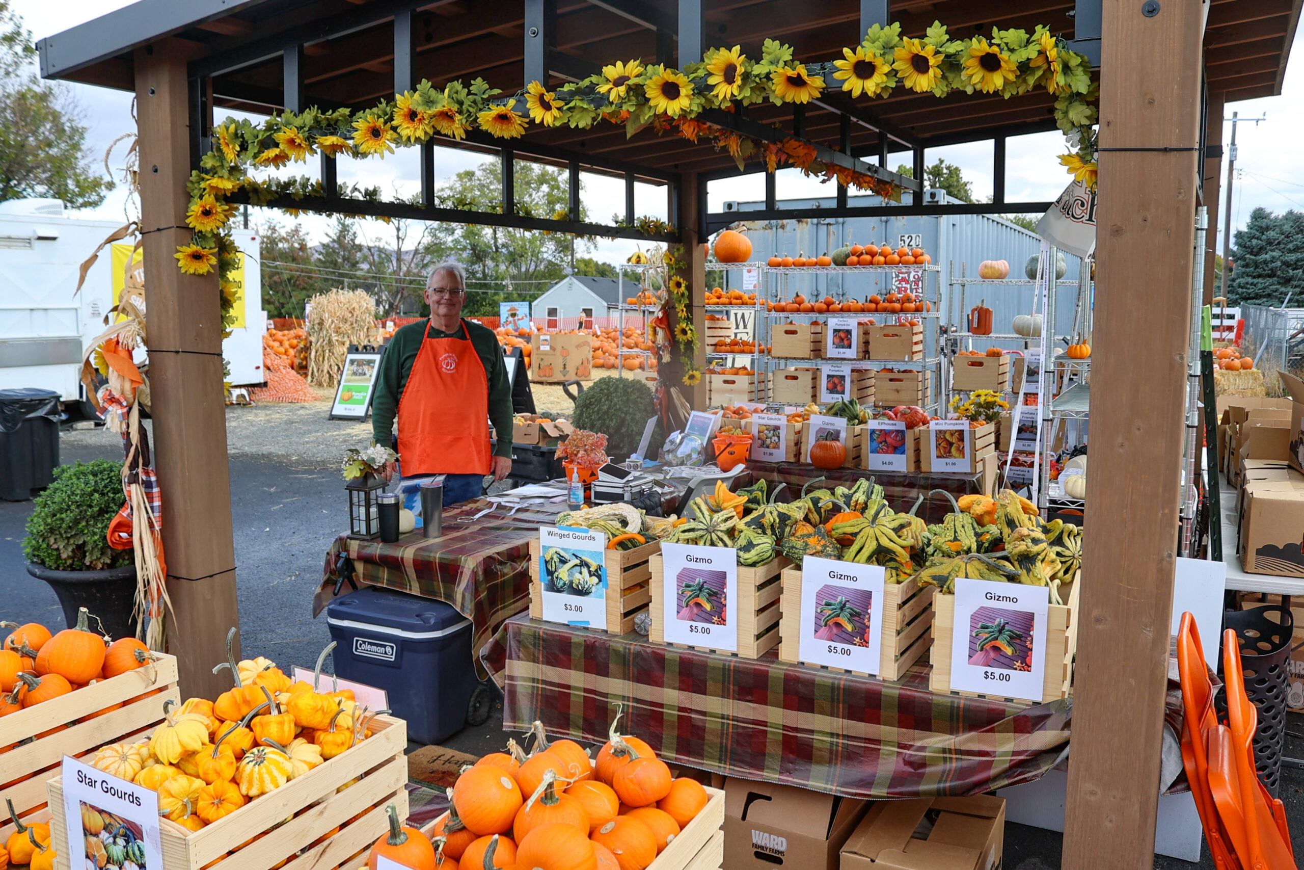 Pumpkin Patch-28