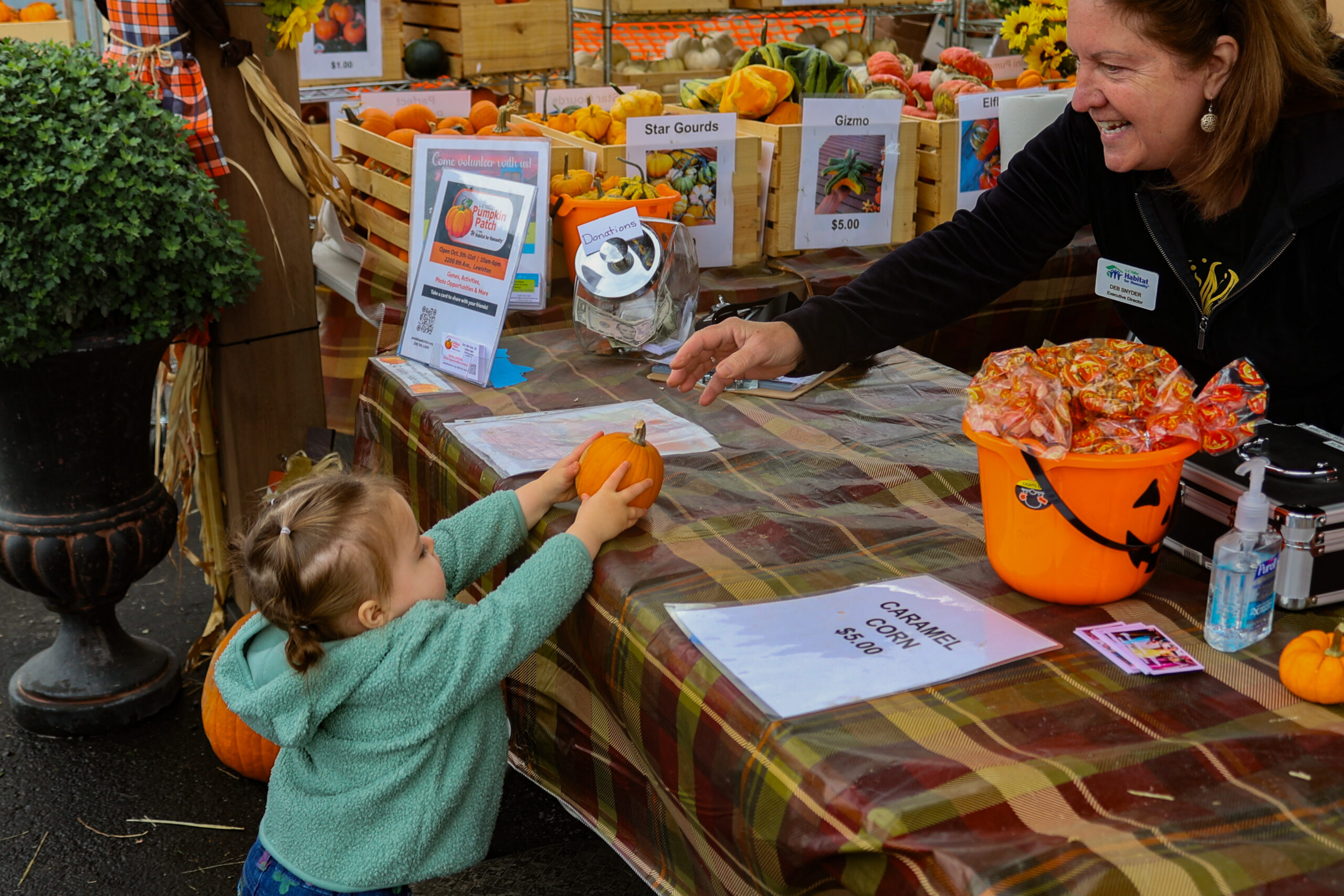 Pumpkin Patch
